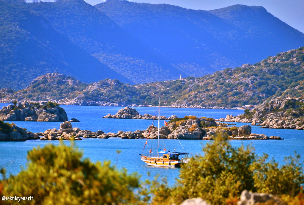 45765067804_b438693057_b