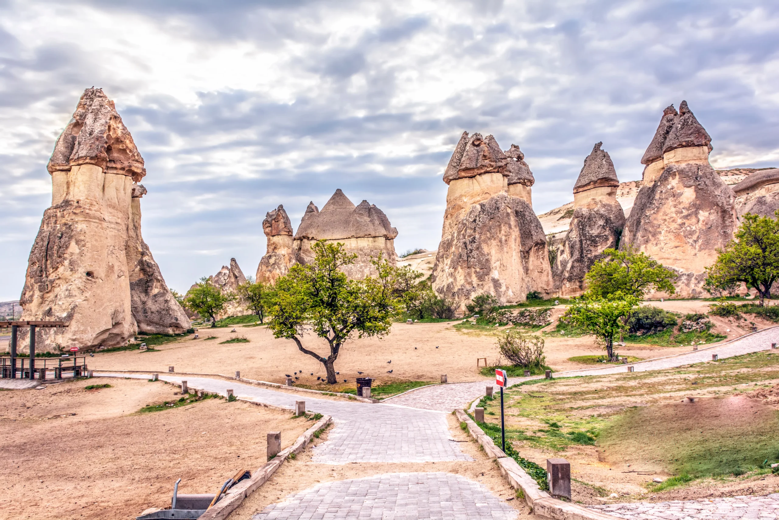 4w2s5br570x37k4lpet9ydq6m8ls_shutterstock_1406943782