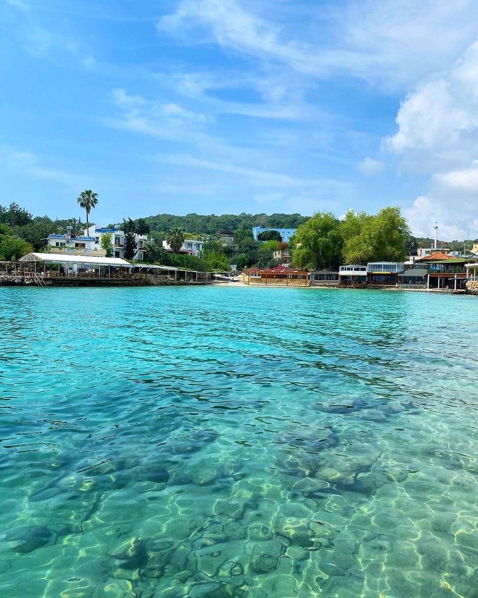 606f8d8bbe787540136f35e6