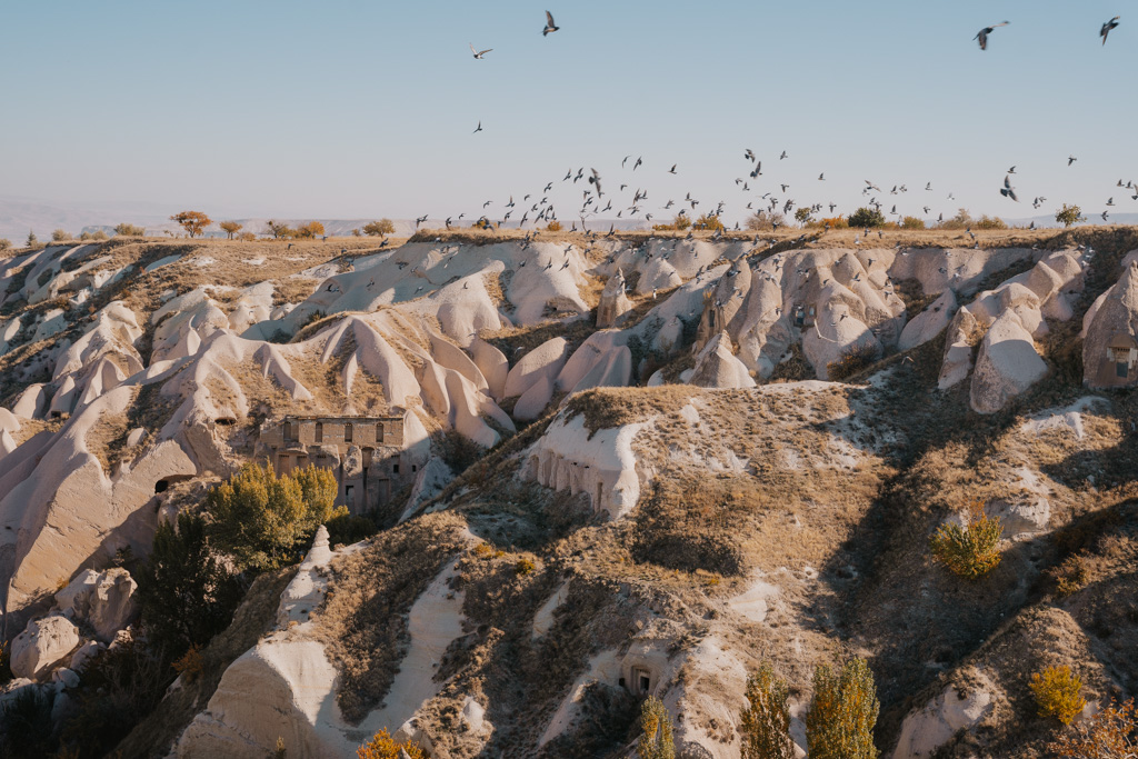 Pigeon-Valley-Cappadocia-Turkey-2021-1-28-2