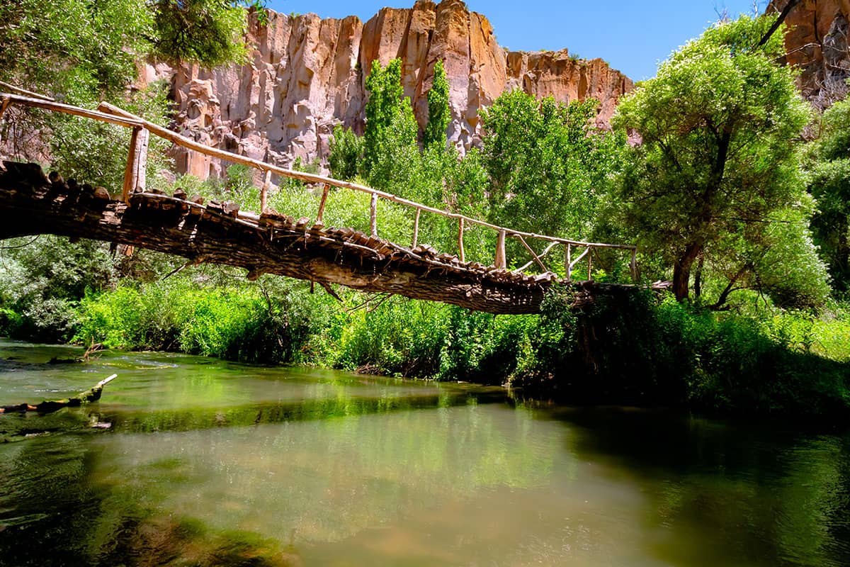 shutterstock2064550895