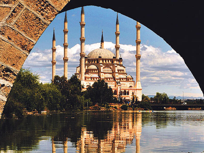 6078b78bff533da076402b2b